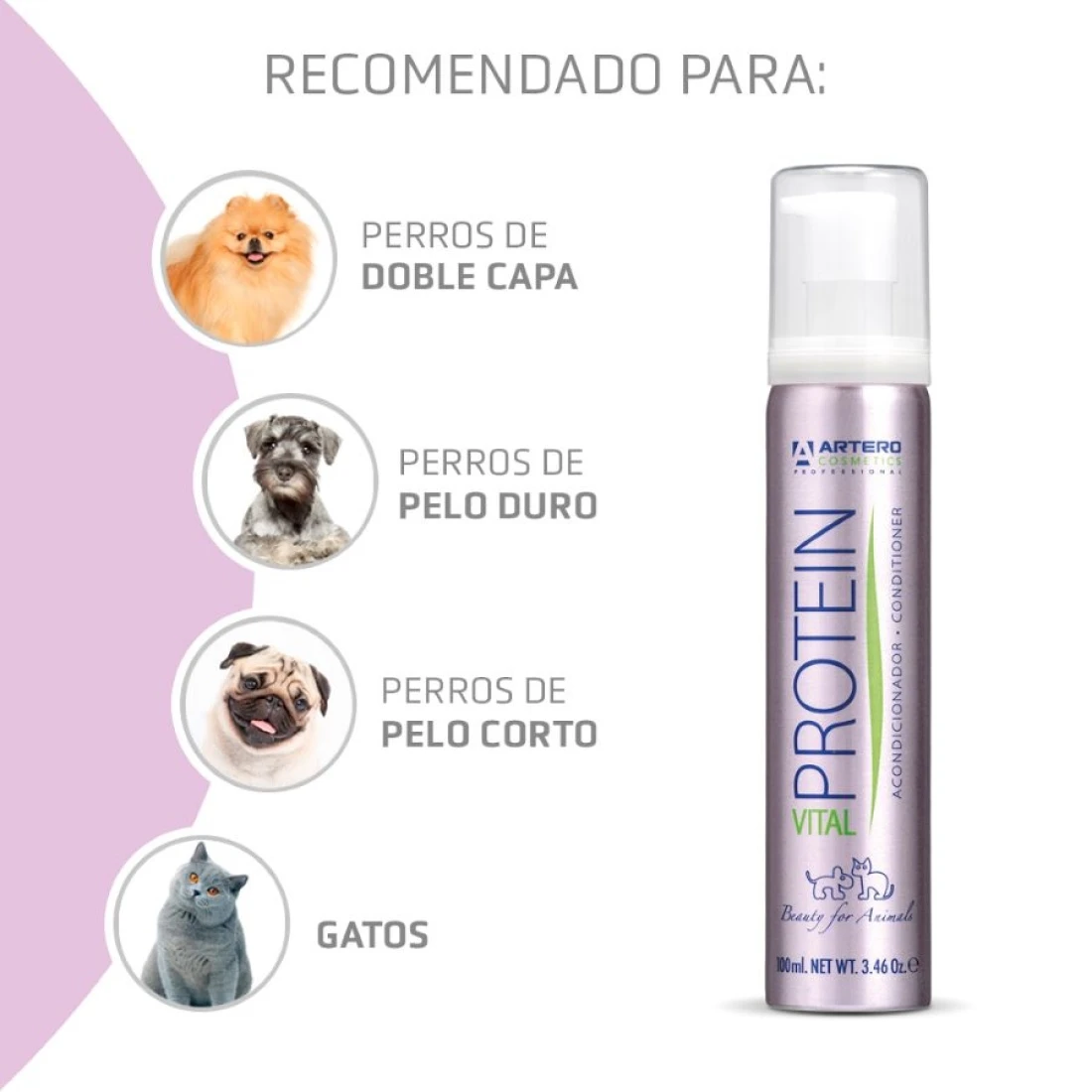 Acondicionador Protein Vital 650 ARTERO Acondicionador Protein Vital 650 -Bravery Tienda 02 funciones h626 64ec7db2102f5