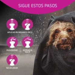 ARTERO Acondicionador Flash -Bravery Tienda 03 Pasos H634 64ec84f7387bb