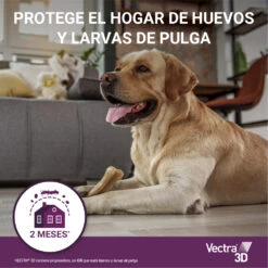 Pipetas 3D Solución Spot-On Para Perros De 1,5-4 Kg -Bravery Tienda 08 vectra ProtegeHogarHuevos Larvas 63bd447eb67d1