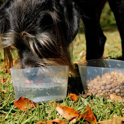 Comedero plegable Mobowl Comedero Plegable Mobowl -Bravery Tienda