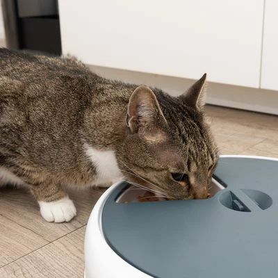 Alimentador automático Noma Alimentador Automático Noma -Bravery Tienda 116296 futterautomat noma fg 9445 3