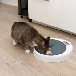 Alimentador Automático Noma 10 Alimentador Automático Noma -Bravery Tienda 116296 futterautomat noma fg 9456 9