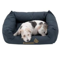 Cama Sleepy Time 8 Cama Sleepy Time -Bravery Tienda 145210 sleepy time grau hund2 062013 8