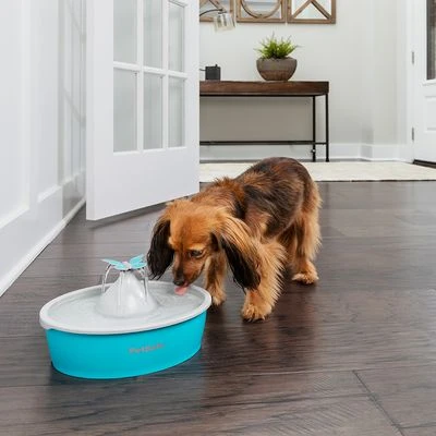 Bebedero Fuente Drinkwell Butterfly De PetSafe -Bravery Tienda 145996 radiosystems petsafe drinkwell butterfly trinkbrunnen 1 5l hs 03 1