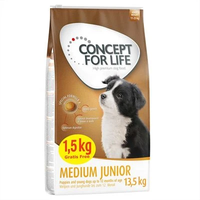 PROMO: Concept for Life pienso para perros 12 + 1,5 kg ¡gratis! PROMO: Concept For Life Pienso Para Perros 12 + 1,5 Kg ¡gratis! -Bravery Tienda