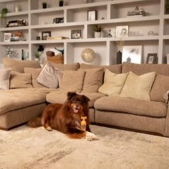 Pet Head Ditch The Dirt Champú Para Perros -Bravery Tienda 159700 companyofanimals pethead ditchthedirt shampoo 300ml hs 06 9