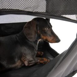 Caseta Plegable Fiona Para Mascotas -Bravery Tienda 173100 faltbare hundekiste fiona fg 6338 4