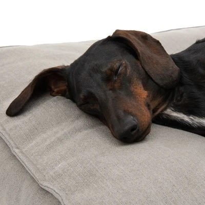 Cama Hamilton ecoLIFE gris para perros Cama Hamilton EcoLIFE Gris Para Perros -Bravery Tienda 180715 hamilton ecolife grau fg 6400 5