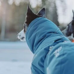 Abrigo Invernal Bare Storm Hurtta Para Perros -Bravery Tienda 186541 188196 188197 188198 188199 188200 188201 hurtta zooplus bare winterjacke storm hs 08 6