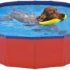 Nayeco Piscina Para Perros 1 Nayeco Piscina Para Perros -Bravery Tienda 190705 8427458021579 main 1 1