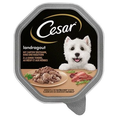 Cesar en tarrinas 56 x 150 g Cesar En Tarrinas 56 X 150 G -Bravery Tienda