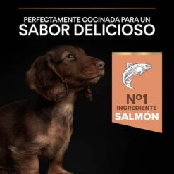 PURINA PRO PLAN Small & Mini Puppy Sensitive Skin -Bravery Tienda 1 44152329 es es 221230 1 7
