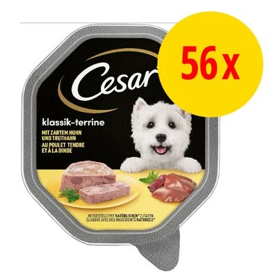Cesar en tarrinas 56 x 150 g Cesar En Tarrinas 56 X 150 G -Bravery Tienda
