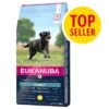 Eukanuba Adult Razas Grandes Con Pollo -Bravery Tienda 1 icon topseller 1000x1000 int 1 0
