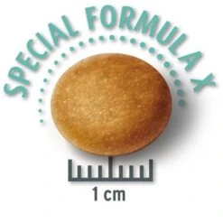 PROMO: Concept For Life Pienso Para Perros 12 + 1,5 Kg ¡gratis! 5 PROMO: Concept For Life Pienso Para Perros 12 + 1,5 Kg ¡gratis! -Bravery Tienda 1 largejunior krokette 3