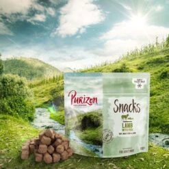 Purizon Snacks Sin Cereales Para Perros 3 X 100 G - Pack Ahorro -Bravery Tienda 1 purizon boards dog snacks lamb 1000x1000 0
