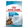 Royal Canin Maxi Starter -Bravery Tienda 1 rc spt dry maxistart mv 2 es es 5