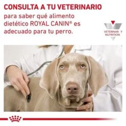 Royal Canin Veterinary Canine Cardiac Pienso Para Perros -Bravery Tienda 1 rc vdi cardiacdry cv eretailkit 9 es es 6