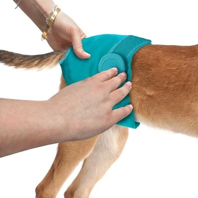 Simple Solution pañal lavable para perros Simple Solution Pañal Lavable Para Perros -Bravery Tienda 200309 manna pro simple solution waschbare windel hs12 9