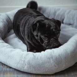 Cama Térmica HAFENBANDE Flory 7 Cama Térmica HAFENBANDE Flory -Bravery Tienda 200322 waagenschmitt hafenbande heizmatte flory hs 11 8