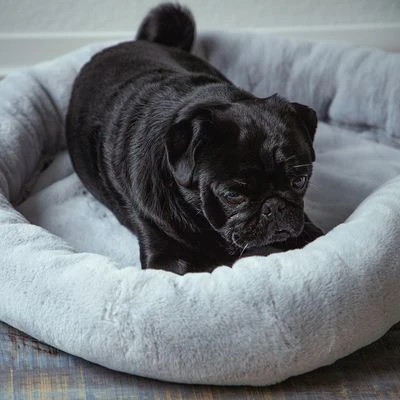 Cama térmica HAFENBANDE Flory Cama Térmica HAFENBANDE Flory -Bravery Tienda 200322 waagenschmitt hafenbande heizmatte flory hs 11 8