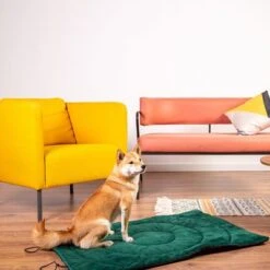 Esterilla De Viaje Brújula Para Perros -Bravery Tienda 203427 geop reise hundematte kompass hs 01 5