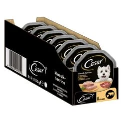 Cesar En Tarrinas 56 X 150 G 5 Cesar En Tarrinas 56 X 150 G -Bravery Tienda 206282 marsgemany megapack cesar schale terrine 14x150g hs 02 4