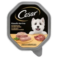 Cesar En Tarrinas 14 X 150 G -Bravery Tienda 206282pla marsgemany megapack cesar schale terrine 14x150g hs 01 1 1