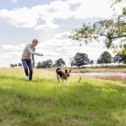 Trixie Caña Estimulante Juguete De Adiestramiento Para Perros -Bravery Tienda 209093 trixie reizangel hs 06 8