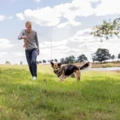 Trixie Caña Estimulante Juguete De Adiestramiento Para Perros -Bravery Tienda 209093 trixie reizangel hs 08 7