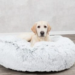 Cojín Redondo Trixie Harvey Para Mascotas 7 Cojín Redondo Trixie Harvey Para Mascotas -Bravery Tienda 211296 209069 211297 trixie kissen harvey rund hs 06 1