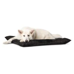 Cama Hunter Bologna Negra Para Perros -Bravery Tienda 214699 214700 hunter hundebett bologna schwarz hs 06 1