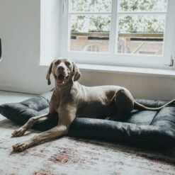 Cama Hunter Bologna Negra Para Perros -Bravery Tienda 214699 214700 hunter hundebett bologna schwarz hs 10 8