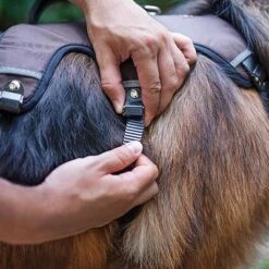 Arnés Ferplast Ergotrekking Marrón -Bravery Tienda 224505 224506 224507 ferplast ergotrekking geschirr braun hs 11 2