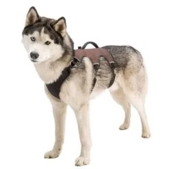 Arnés Ferplast Ergotrekking Marrón -Bravery Tienda 224505 224506 224507 ferplast ergotrekking geschirr braun hs 13 7