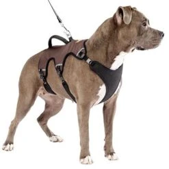 Arnés Ferplast Ergotrekking Marrón -Bravery Tienda 224505 224506 224507 ferplast ergotrekking geschirr braun hs 14 0