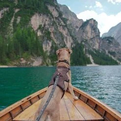 Arnés Ferplast Ergotrekking Marrón -Bravery Tienda 224505 224506 224507 ferplast ergotrekking geschirr braun hs 18 4