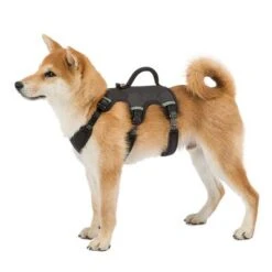 Arnés Ferplast Ergotrekking Negro 11 Arnés Ferplast Ergotrekking Negro -Bravery Tienda 224508 224509 224510 ferplast ergotrekking geschirr schwarz hs 10 4