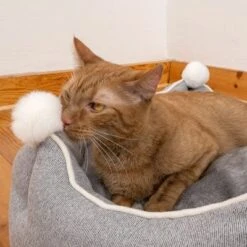 Cama Crown Para Mascotas -Bravery Tienda 233898 crown mit katze fg 8999 6