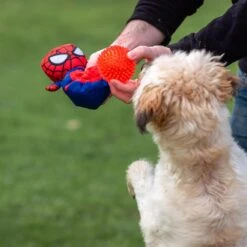 Peluche Para Perro Pelota Spiderman -Bravery Tienda 2800000707 5