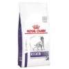 Royal Canin Expert Canine Dental Pienso Para Perros -Bravery Tienda 284805 pla royalcanin veterinary canine dental kg hs 01 5