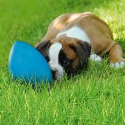 Pelota RunninGegg Para Perros