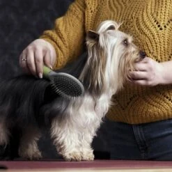 Cepillo De Doble Cara Moser Para Mascotas 4 Cepillo De Doble Cara Moser Para Mascotas -Bravery Tienda 289796 moser beidseitige fellpflegebuerste hs 02 1