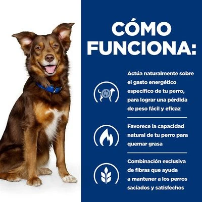 Hill's Metabolic con cordero Prescription Diet pienso para perros Hill's Metabolic Con Cordero Prescription Diet Pienso Para Perros -Bravery Tienda 2 pd metabolic dog bk32929 bk27893m bk32064m bk21343 bk21344 how works es 7