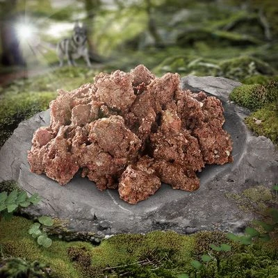 Wolf of Wilderness 6 x 300 g Wolf Of Wilderness 6 X 300 G -Bravery Tienda