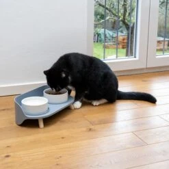 TIAKI Comedero Doble De Cerámica Para Mascotas -Bravery Tienda 302496 duo napf mit katze fg 0999 5