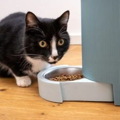 TIAKI Tolva Para Pienso Y Agua, Azul Claro Para Mascotas -Bravery Tienda 302496 duo napf mit katze fg 1019 0