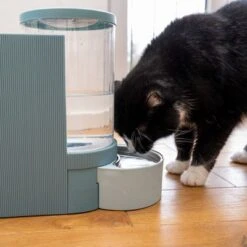 TIAKI Tolva Para Pienso Y Agua, Azul Claro Para Mascotas -Bravery Tienda 302496 duo napf mit katze fg 1028 7