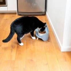 TIAKI Comedero Doble De Cerámica Para Mascotas -Bravery Tienda 302496 tiaki keramiknapf duo 9