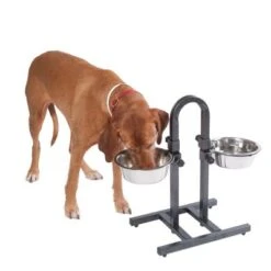 Soporte Ajustable Con Dos Comederos De 1,6 L -Bravery Tienda 313525 u hundebar 05 dsc9197 9